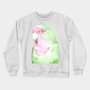 watercolor lovebird inséparable painting portrait pink green bird Crewneck Sweatshirt